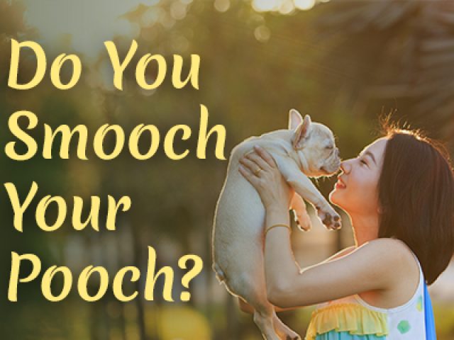 Do You Smooch Your Pooch? (featured image)